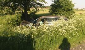 Po rūsčia išvaizda - meniška siela