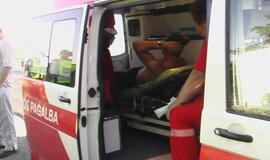 "Audi" sustabdė pakelės medis