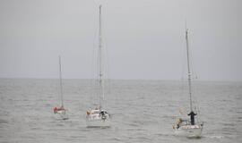 Šventosios uosto atidarymas