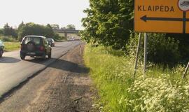 "Audi" sustabdė pakelės medis