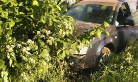 "Audi" sustabdė pakelės medis