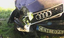 "Audi" sustabdė pakelės medis