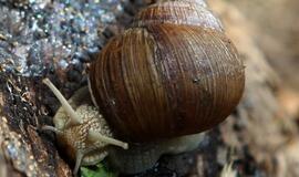 Liepos 5-oji: vardadieniai, dangaus kūnai, istorija