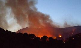 Maljorkoje ugnis sunaikino 30 hektarų miško
