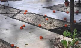 Ispanija. Kordobos pasaka