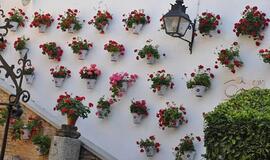 Ispanija. Kordobos pasaka