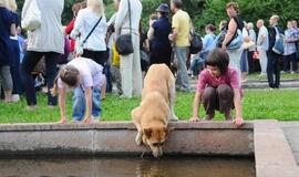 Teatrų festivalio "Šermukšnis" akimirkos