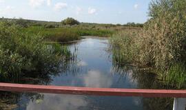 Dėl liūčių patvinusi Leitės upė grįžta į vagą