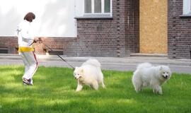 Klaipėda: VE.lt pristato rugpjūčio 3-osios įvykius