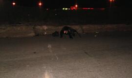 Žuvo motociklo vairuotojas