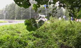 Ties Melnrage "mikriukas" virto ant šono