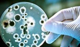 Kaune dėl žarnyno infekcijos hospitalizuota 13 sportininkių