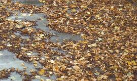 Klaipėda: VE.lt pristato rugsėjo 28-osios įvykius