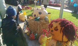 Derliaus šventėje Kretingoje - moliūgai milžinai