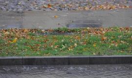 Klaipėda: VE.lt pristato spalio 12-osios įvykius