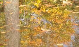 Klaipėda: VE.lt pristato spalio 17-osios įvykius