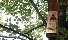 Klaipėda: VE.lt pristato spalio 24-osios įvykius