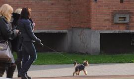 Klaipėda: VE.lt pristato spalio 27-osios įvykius