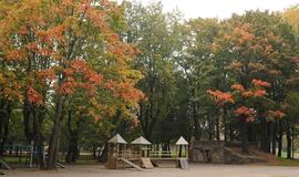 Klaipėda: VE.lt pristato spalio 4-osios įvykius