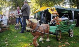 Derliaus šventėje Kretingoje - moliūgai milžinai