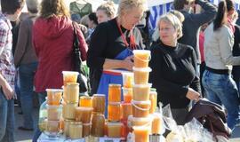 Derliaus šventėje Kretingoje - moliūgai milžinai