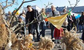 Derliaus šventėje Kretingoje - moliūgai milžinai