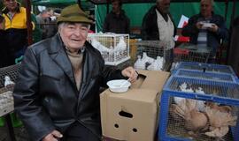 Šventė Palangos turguje