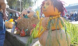 Derliaus šventėje Kretingoje - moliūgai milžinai