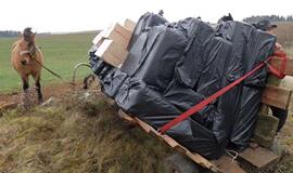 Arklys traukė vežimą su kontrabandinėmis cigaretėmis