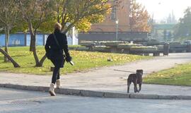 Klaipėda: VE.lt pristato lapkričio 11-osios įvykius