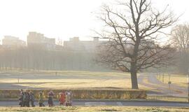 Klaipėda: VE.lt pristato lapkričio 25-osios įvykius