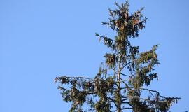 Klaipėda: VE.lt pristato lapkričio 29-osios įvykius