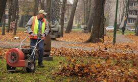 Talka Skulptūrų parke