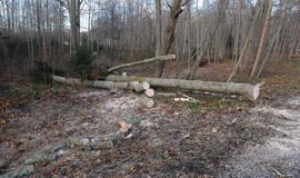 Stichijos padariniai Klaipėdoje