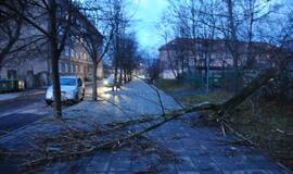 Stichijos padariniai Klaipėdoje