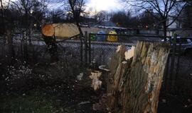 Stichijos padariniai Klaipėdoje