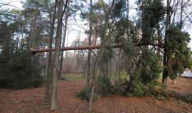 Stichijos padariniai Klaipėdoje