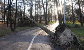 Stichijos padariniai Klaipėdoje