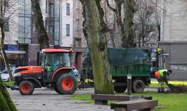 Stichijos padariniai Klaipėdoje