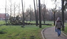 Stichijos padariniai Klaipėdoje