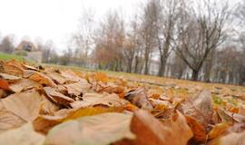 Talka Skulptūrų parke