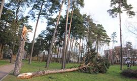 Stichijos padariniai Klaipėdoje