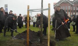 Neringos miesto jubiliejus