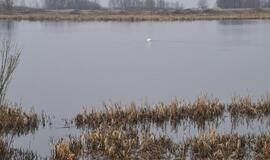 Sekmadienį iš vandens telkinių ištraukti penki žmonės