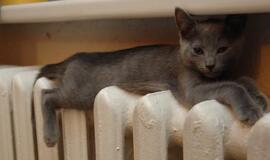 Šiltas spalis sumažino sąskaitas už šildymą, teigia šilumos tiekėjai