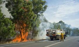 Vakarų Australijoje siautėja krūmynų gaisrai