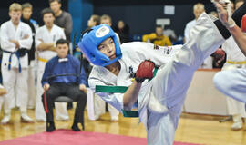 Vakarų taurė atiteko &quot;Okinavai&quot;