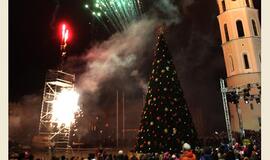 Įžiebta pagrindinė Vilniaus ir visos Lietuvos Kalėdų eglė