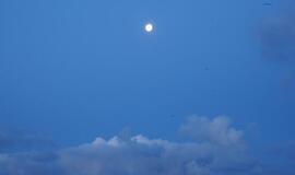 Klaipėda: VE.lt pristato gruodžio 14-osios įvykius