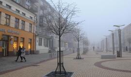 Klaipėda: VE.lt pristato gruodžio 29-osios įvykius